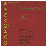 COSTERS DEL GRAVET - ageing wine