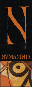 NUMANTHIA - ageing wine